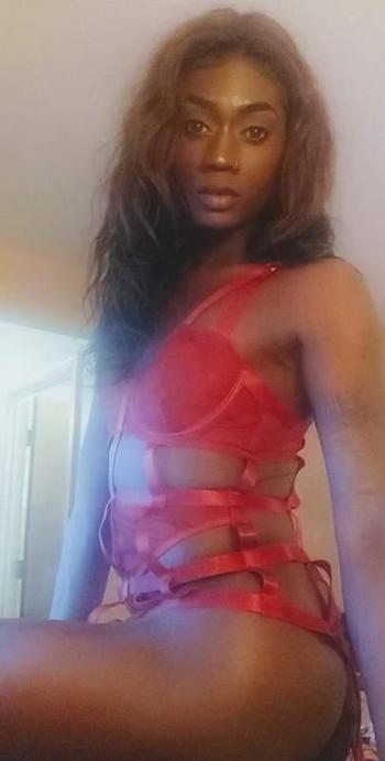 8436990617, transgender escort, Charleston